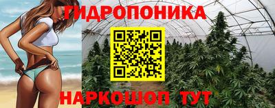 СК Кимры