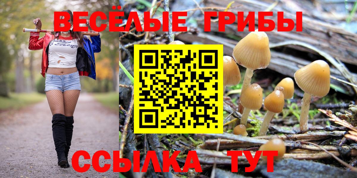 Псилоцибиновые грибы Cubensis  Псилоцибиновые грибы прущие грибы  Азов  Вход с VPN 