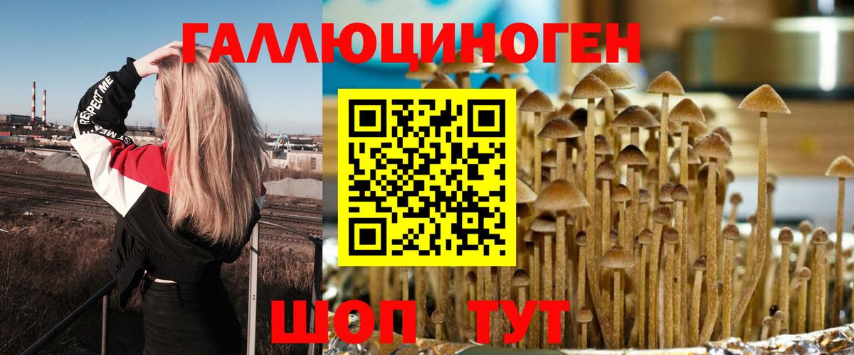 Галлюциногенные грибы мухоморы Азов
